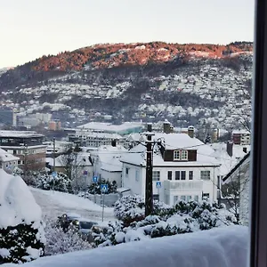  Appartement Spacious And Beautiful In With Free Parking